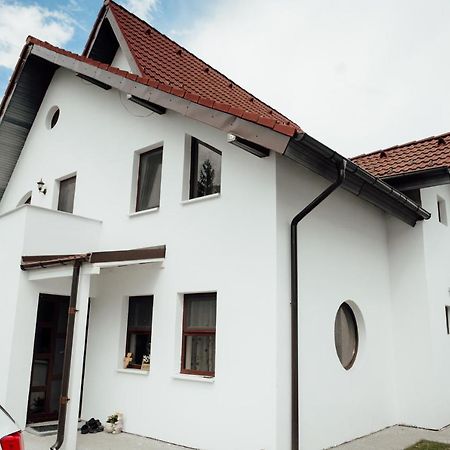 Autentic Adorabil Apartment Albestii Paminteni Exteriér fotografie