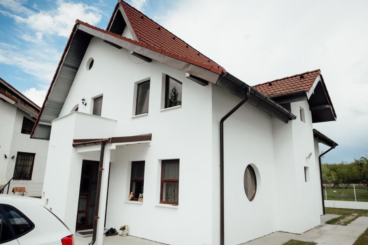 Autentic Adorabil Apartment Albestii Paminteni Exteriér fotografie