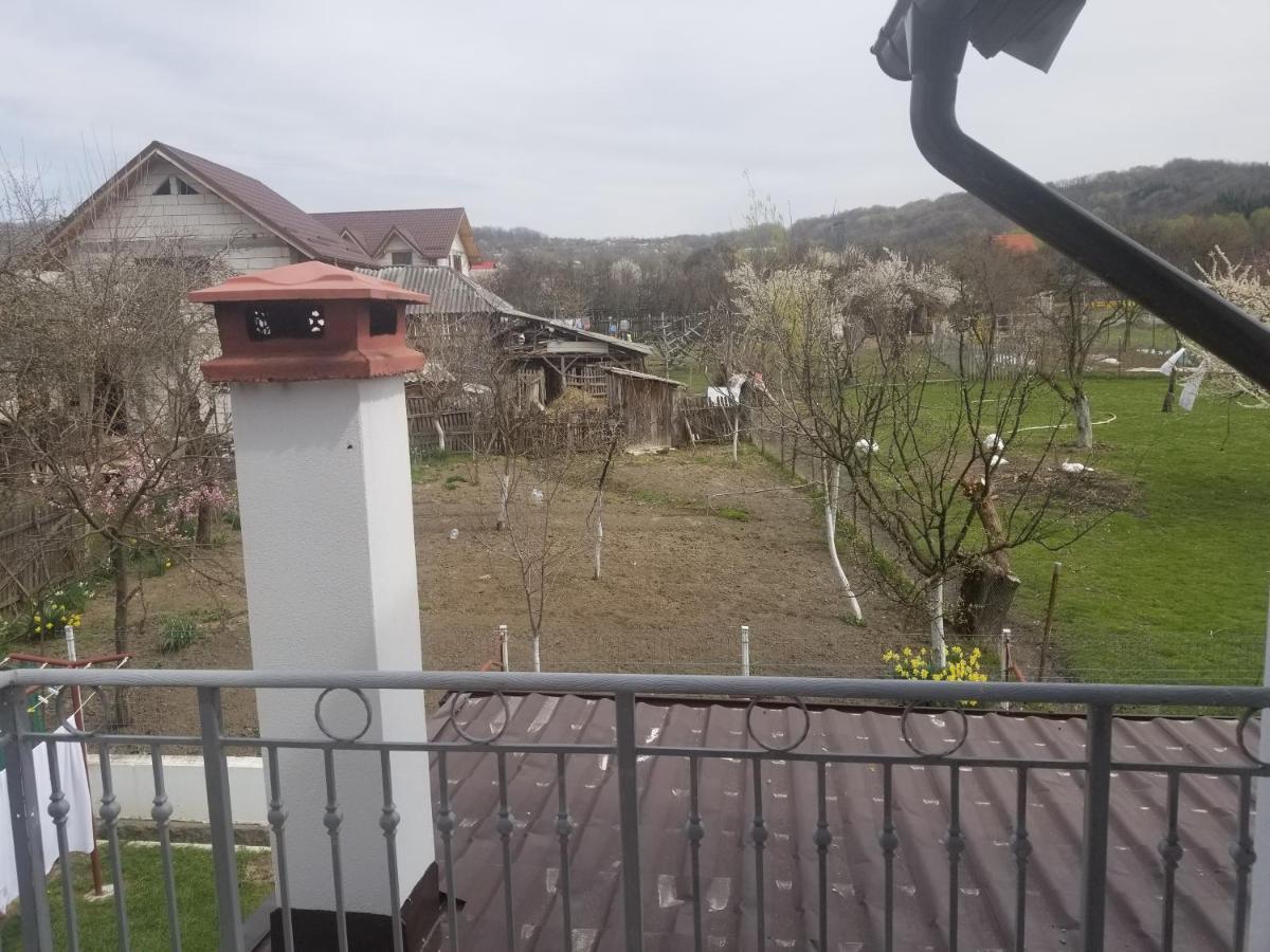 Autentic Adorabil Apartment Albestii Paminteni Exteriér fotografie