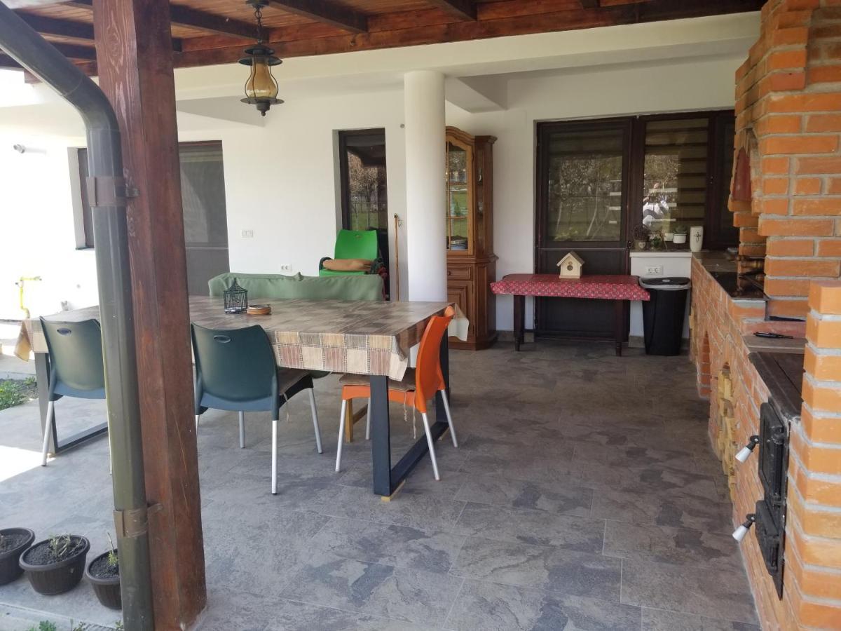 Autentic Adorabil Apartment Albestii Paminteni Exteriér fotografie