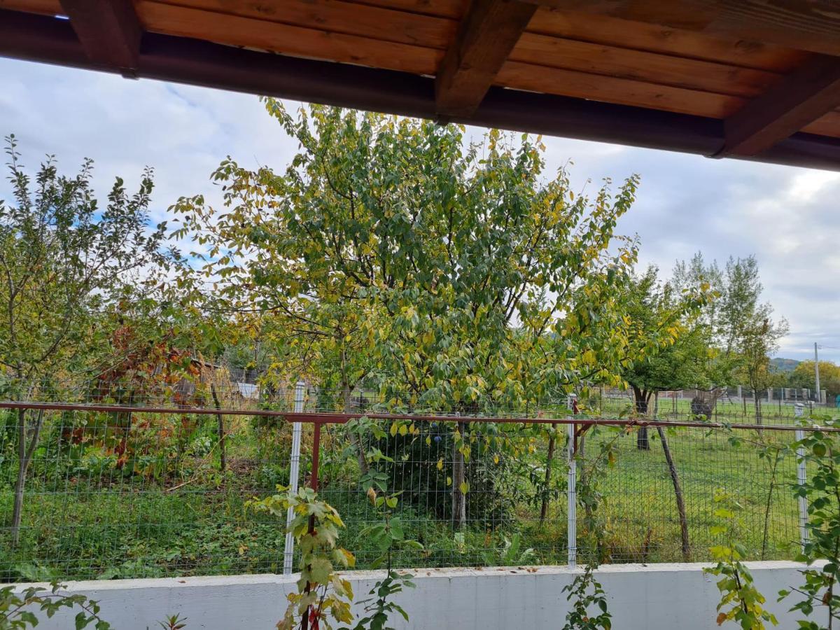 Autentic Adorabil Apartment Albestii Paminteni Exteriér fotografie